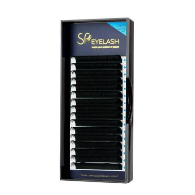 China PBT Soft Korean Classic Eyelash Extensions In 0.10 0.12 0.15 0.18 0.20mm For Professional Use for sale