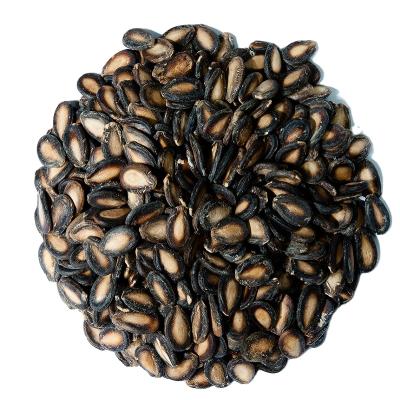 China 2021 New Hot Sale Large Size Original Dried Black Watermelon Seeds for sale