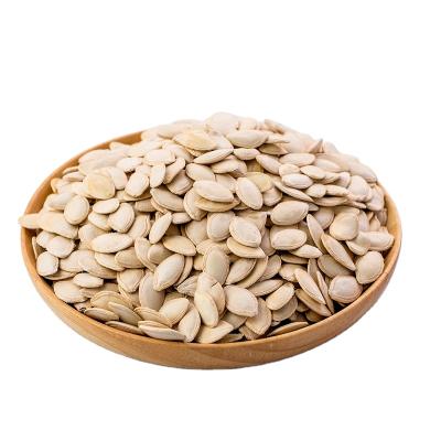 China New Raw Seeds Xinjinag Dry Culture Owned Large Plant Size Pumpkin Seeds for sale