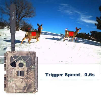 China Wireless System Hunting Camera 1080P HD Files IP66 SIM Card Night Vision Hunting Waterproof Heavy Duty Trail Cameras for sale