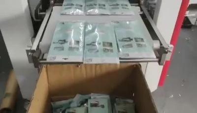 Κίνα 150pcs/Min Full Auto Face Mask Packaging Machine Horizontal Medical Mask Packaging Machine προς πώληση