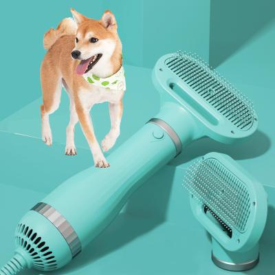 China Amazon Viable Hot Selling 2-In-1 Pet Dryer Grooming Brush Fashion Design Dog Pet Hair Dryer for sale