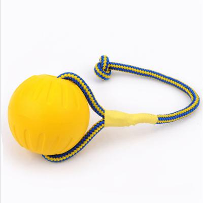 China Viable Factory Dog Chew Toy With Rope Float Aqua Eva Chew Ball Hard Dog Ball Floating Toy for sale