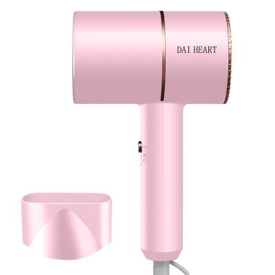 China Foldable Factory Sells Luxurious Wall Mounted Professional Salon Hair Dryer Ionic Hair Dryer for sale