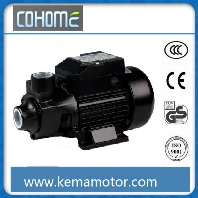 China QB60 QB60 QB60 Bomba de agua High Peripheral 60 QUARTER Water Pump Pump 0.5HPwater Pump for sale