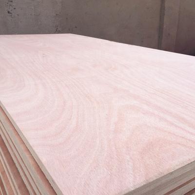 China Contemporary plywoods best quality okoume bintangor faced plywood for furniture for sale