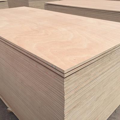 China Factory sale contemporary okoume bintangor plywood sheet for furniture high quality cheap price for sale