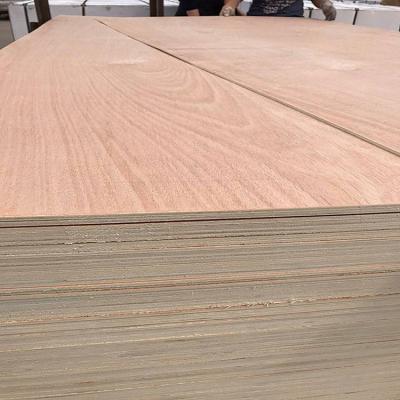 China 17mm contemporary wooden construction plywood commercial plywood made in china for sale for sale