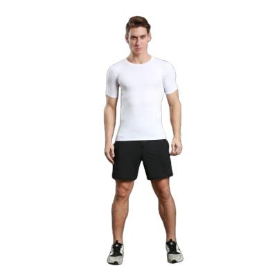 China QUICK DRY Hot selling Tight fitting 8% spandex+92% polyester Short Sleeve Man Casual men's t-shirts Tight arm t shirt in China for sale