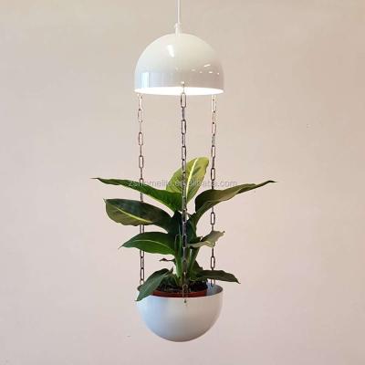 China Minimalist metal shade bowl shape pendant lamp with chains and plugs, pendant lamp for plant for sale