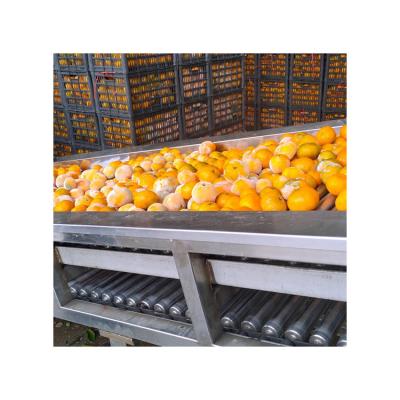 China Food Orange Canned Automatic Food Production And Packaging Machine Processing Line For Fruits Processing for sale