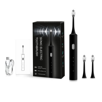 China Adult High Quality Cheap Rechargeable Sonic Electric Toothbrush Adult for sale