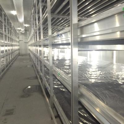 China High Corrosion-Resistance Mushroom Mushroom Growing Aluminum Racks Shelving for sale