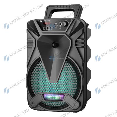 China No Knots DJ Party Wireless Portable BT Outdoor Speakers With TWS&FM&USB 8 Inch KTS-1209 Factory Price for sale