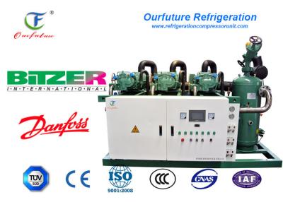 Chine unité Bitzer 415V/3/60Hz de compresseur de vis de congélateur à air forcé du poulet 100hp à vendre