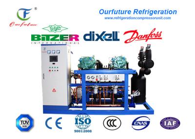 China Vegetable Refrigeration Cold Room Compressor Unit Commercial Condensing Units for sale