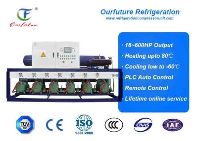 중국 씨 처리 상업적인 집광 단위는 냉각한 50hp*5 R404a를 바람쐽니다 판매용