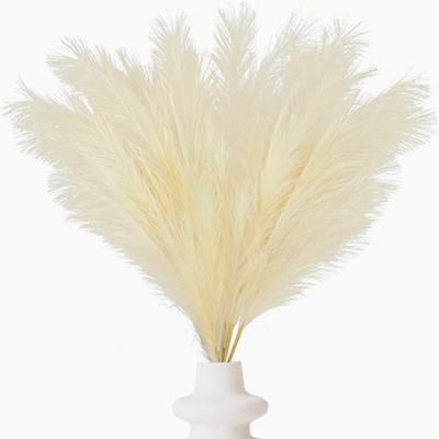 China Dropshipping Durable Faux Online Wholesale Artificial Flowers Large Fluffy Pampas Grass For Wedding for sale