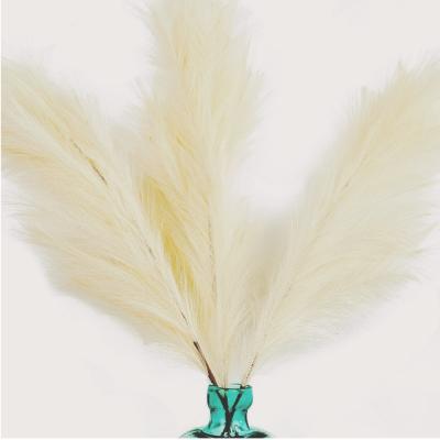 China Home Room Wedding Artificial Flowers Wall Durable Hot Selling Decorative Artificial Pampas Grass For Wedding for sale