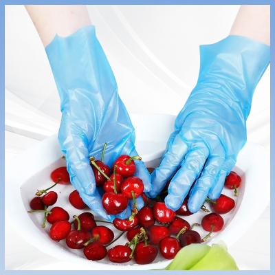 China Guantes disponibles seguros de la TPE del FDA de los guantes de la comida resistente disponible de la abrasión en venta