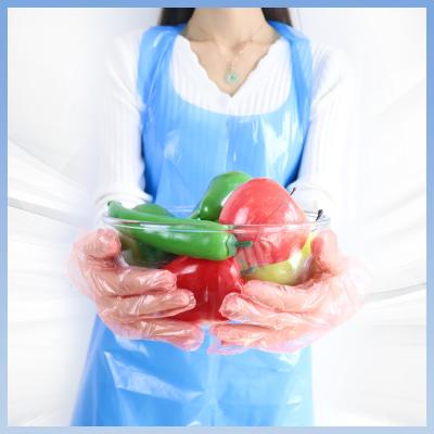 China Blue Disposable PE Apron Oil Proof Transparent Plastic Apron for sale