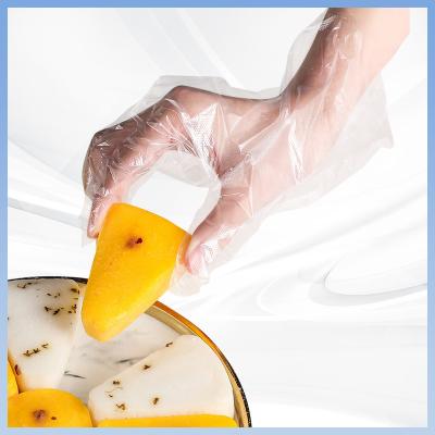 China Food Handling Transparent Disposable Polythene Gloves Temperature Resistance for sale