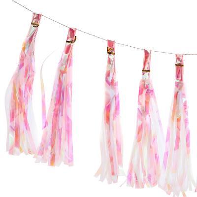 China Iridescent tassel Garland Wedding Birthday Party Decoration new factory supply color rainbow foil decoration for sale