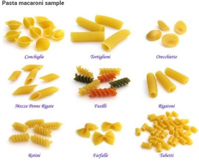 China Pasta Line and Macaroni Processing Line for sale