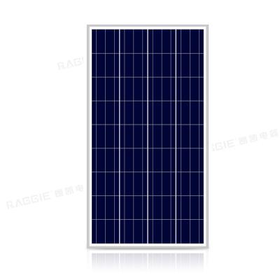 China RAGGIE 165W 12V Polycrystalline Solar Panel For On Grid Solar Panel System RG-P165W for sale