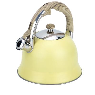 China Fashion Design Sustainable Color Painting Stainless Steel Whistling Kettle Water Kettle 2.5l 3L for sale