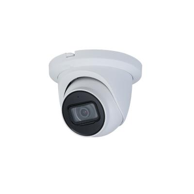 China PAN-TILT IPC-HDW3449TM-AS-NI 4MP Full Color Eyeball AI Detection Fixed-focal Smart Network Camera for sale