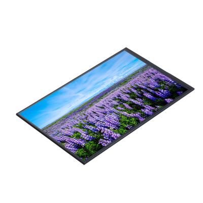 China Standard Product 135.37(W) X 216.58(H) 4laneMIPI 10.1 Inch Screen Displays Monitors Module LCD Interface 10.1 Inch for sale