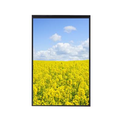 China Competitive Price Black 1200*1920 Resolution RGB Verticalstripe Pixel Layout LCD Module Screen Monitors 10.1 Inch for sale