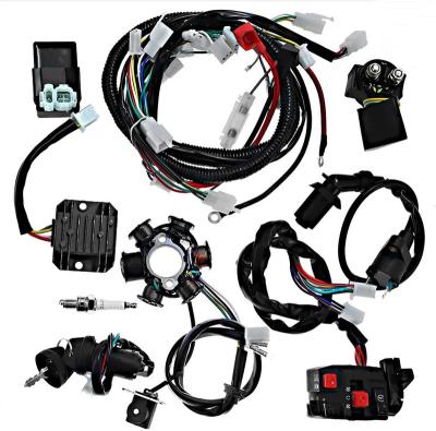 China Electronic Custom Motor Start Harness Energygy Wire Harness Starting Motor Wiring Harness For Main Switch for sale