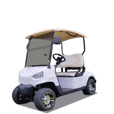 China Powerful Cheap Chinese Two Seater Electric Golf Carts 2 Seats For Sale Golf Tires 205/50-10 for sale