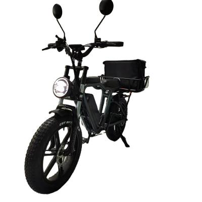 China Aluminum Alloy Family Cargo Bike 20