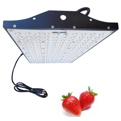 China Seed Starting LH-P2000 Red Blue Pink Led Grow Lights Full Spectrum 200 Watt 200w Indoor Plant Lamp for sale