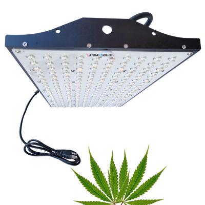 China Seed Starting Red Blue Pink 200watt P2000 Lanhai Indoor Hydroponic Greenhouse 200W Full Spectrum Led Grow Lights for sale