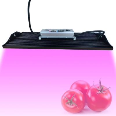 China Seed Starting High Power Double Line Retail High Quality Chips Seed High PPF Waterproof 2000W Led Grow Light For Plant Growing for sale