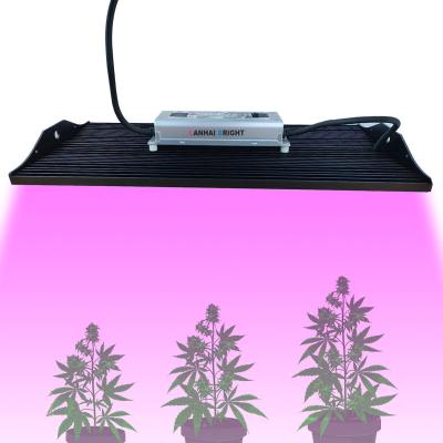 China Seed starting Lanhai high bright ppfd 2000 IR MH meanwell driver 200w 200watt UV lights for plant led grow light kit for sale