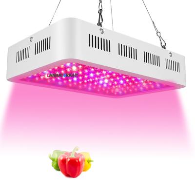 China Seed Starting Indoor LED Grow Light Panel Lamp Full Spectrum Hydroponic Plants Grow Light 1000W 1200W 1000 1200 Watt Greenhouse Lighting for sale