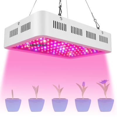 China Seed Starting Super Bright Indoor Garden Greenhouse Plant Veg Growing Lamp 600W 1000W 1200W Led Grow Light Full Spectrum For Flower Vegetables for sale