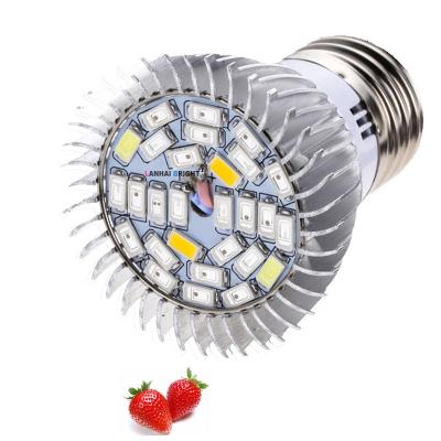 China Seed Seed Growing Full Spectrum E26 E27 Plant Grow Light Bulbs LED Par Grow Light For Garden And Hydroponic Greenhouse for sale