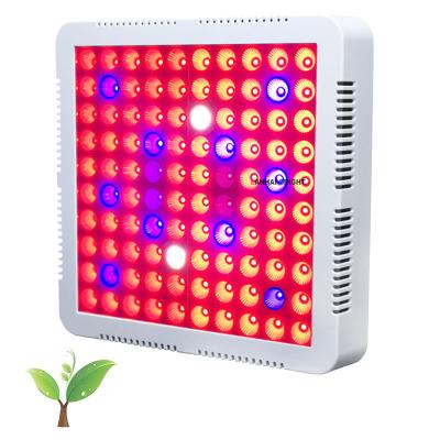 China Seed Starting 100W 300W Container System 100 LED 3030 Watt Greenhouse Indoor Hydroponic Plant Tent Full Red Blue Spectrum Led Grow Light for sale