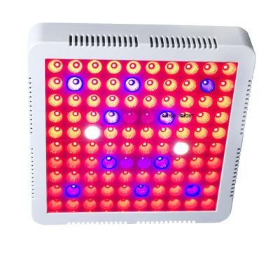 China Seed Starting Fruit Plant Indoor Tent IR Flower Square 100W 300W 100leds 3030 Watt Container System Full Red Blue UV Spectrum Led To Grow Light for sale