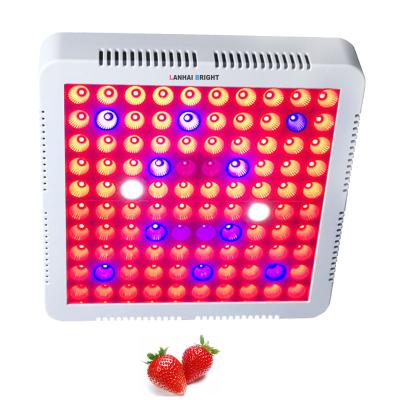 China Seed Starting 100W 300W Greenhouse Plant Square Indoor Tent Greenhouse IR Greenhouse Full Pink Blue Red 100W LED 3030 Panel UV Spectrum Led Grow Light for sale