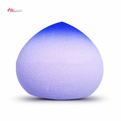 China Perfect for Makeup Artis Multifunctional Professional Make Up Blast Beauty Microfiber Egg Cosmetics Apple Makeup Sponge Makeup for sale