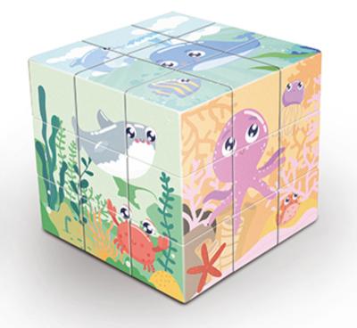 China FLASHING 3 Years&Up Mind Exercise 3x3x3 Submersible Puzzle Children Educational Toys Puzzle Magic Cube for sale