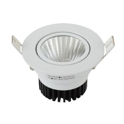 China Modern Concise CE Rohs Blink Free Smart Led Ceiling Light Downlight Spotlight for sale