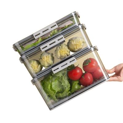 China Keep Fresh Fruit Storage Containers For The Fridge, Timer Crisper Fresh PET Saver Container With Time Slip Lid And Strainer, Stackable for sale